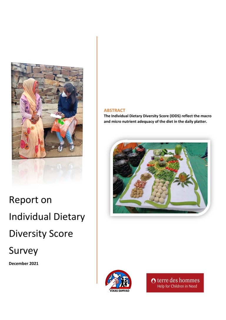 Report on Individual Dietary Diversity Score Survey